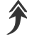 人才成長(cháng)路徑